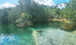 Full Day Tour to Presidente Figueiredo Waterfalls